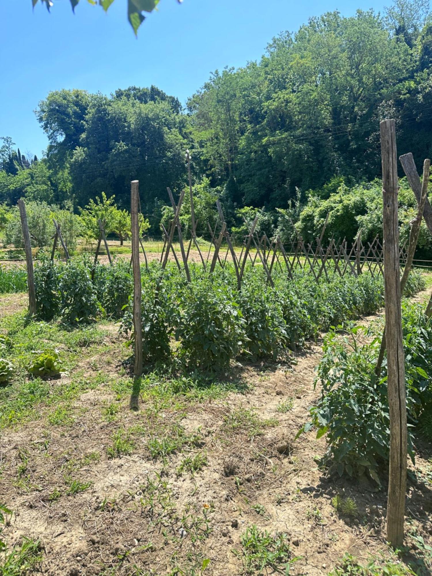 Montepulciano Stazione Agriturismo San Biagioヴィラ エクステリア 写真
