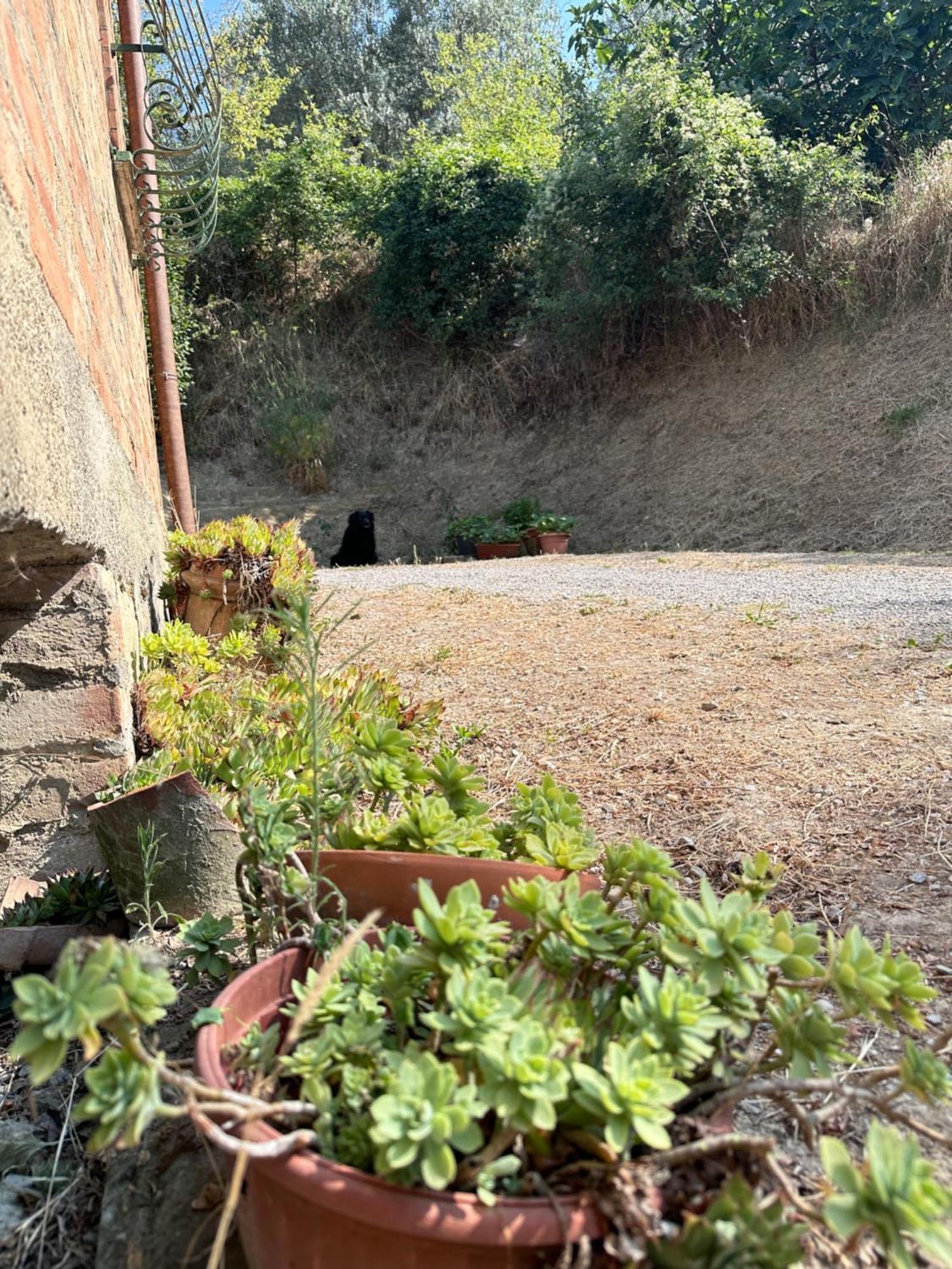 Montepulciano Stazione Agriturismo San Biagioヴィラ エクステリア 写真