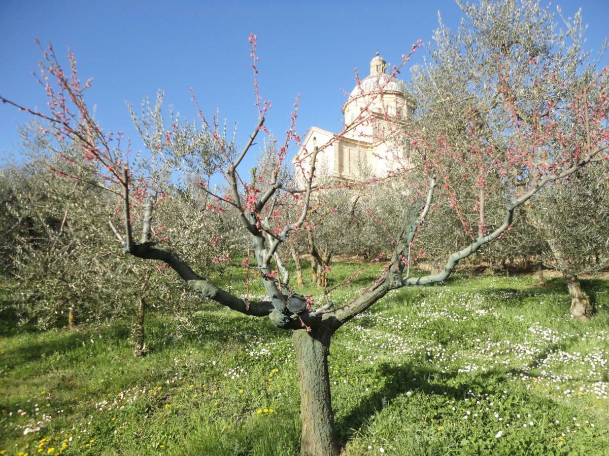 Montepulciano Stazione Agriturismo San Biagioヴィラ エクステリア 写真