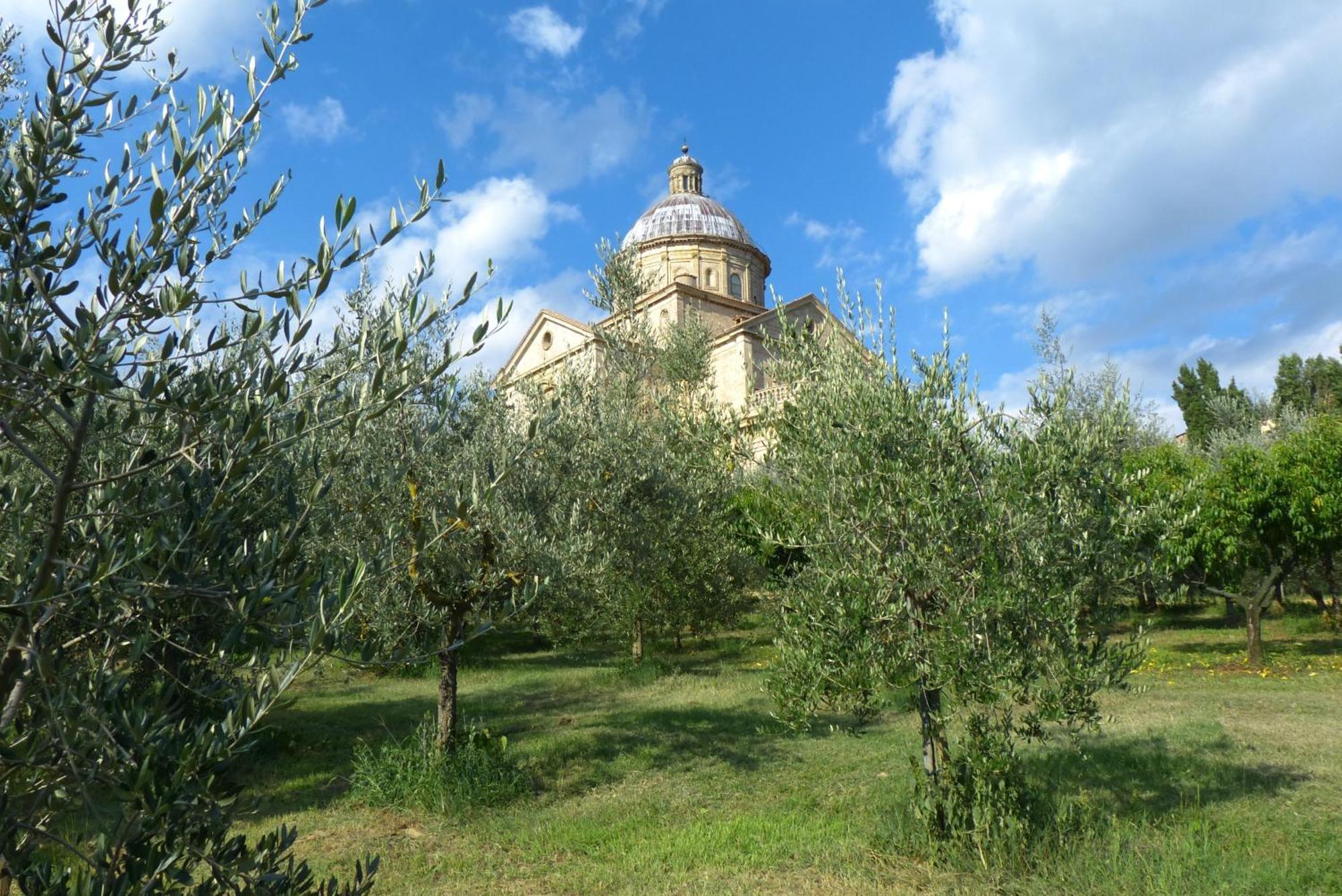 Montepulciano Stazione Agriturismo San Biagioヴィラ エクステリア 写真